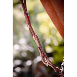 PENELOPE Tijerilla de martingala bip ligera US elástica Avellana Marrón