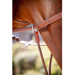 PENELOPE Tijerilla de martingala bip ligera US elástica Avellana Marrón