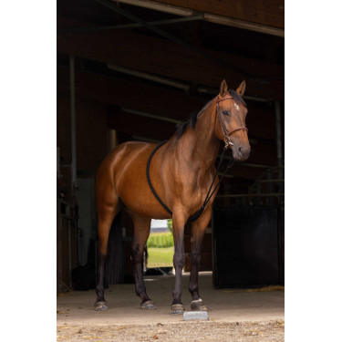 Sistema Norton extensor suave Negro