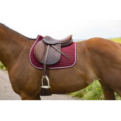 Tapijt Riding World Girly Burdeos