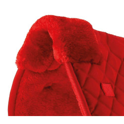 Rugbeschermer Riding World Roja Rojo