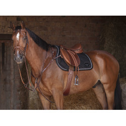 Cincha combinada Eric Thomas Hybrid Havana Marrón