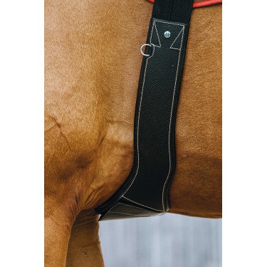 Cinch anatómico Magnet Norton Negro