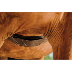 Cinch anatómico Magnet Norton Havana Marrón Cinch anatómico Magnet Norton Havana Marrón