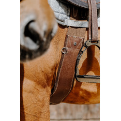 Cinch anatómico Magnet Norton Havana Marrón Cinch anatómico Magnet Norton Havana Marrón