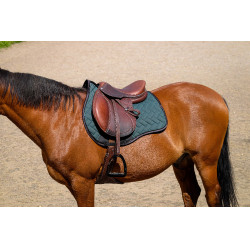 Manta de montar Equithème Impulsion Verde