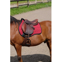 Manta de montar Equithème Impulsion Verde