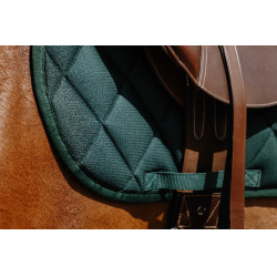 Sudadero Riding World School Verde oscuro Sudadero Riding World School Verde oscuro