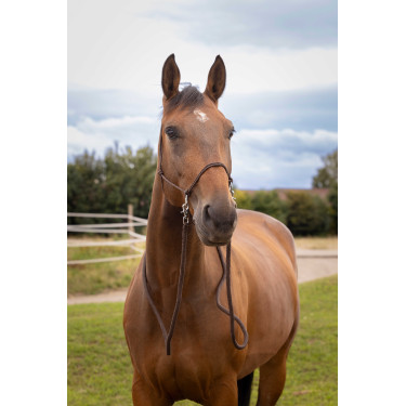 Cabezada natural con riendas Castaño Marrón