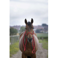 Cabezada natural con riendas Castaño Marrón