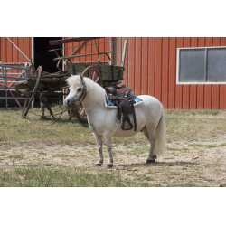 Mantilla Navajo acolchada Turquesa Azul Mantilla Navajo acolchada Turquesa Azul