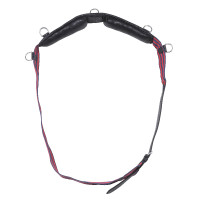 Cinchuelo lona Apollo