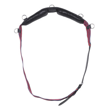 Cinchuelo lona Apollo