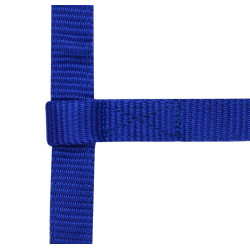 Cabezada ajustable Mini Azul real