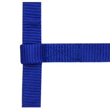 Cabezada ajustable Mini Azul real