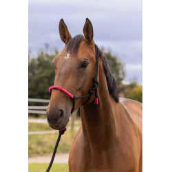 CABEZALE ETOLÓGICO + CABO DE COLORES Neón fucsia Rosa