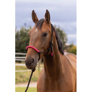 CABEZALE ETOLÓGICO + CABO DE COLORES Neón fucsia Rosa