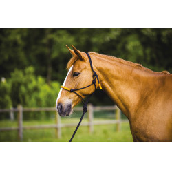 CABEZALE ETOLÓGICO + CABO DE COLORES Naranja neón CABEZALE ETOLÓGICO + CABO DE COLORES Naranja neón