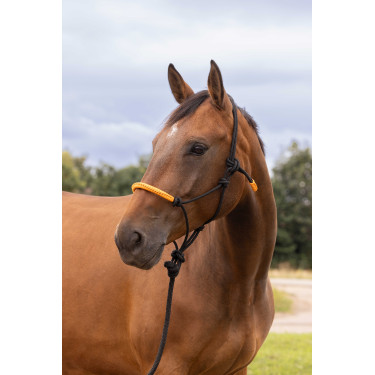 CABEZALE ETOLÓGICO + CABO DE COLORES Naranja neón CABEZALE ETOLÓGICO + CABO DE COLORES Naranja neón