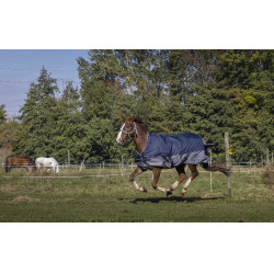 Manta Equi-Theme Tyrex 600 D High Neck