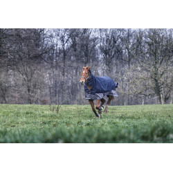 Manta Equi-Theme Tyrex 600 D Combo