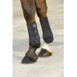 Protectores de tendón Elastiques Negro