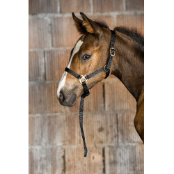 Cabezada potro de nylon Negro Cabezada potro de nylon Negro