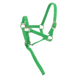 Cabezada potro de nylon Verde claro