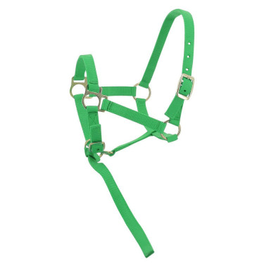 Cabezada potro de nylon Verde claro