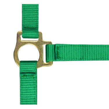 Cabezada potro de nylon Verde claro