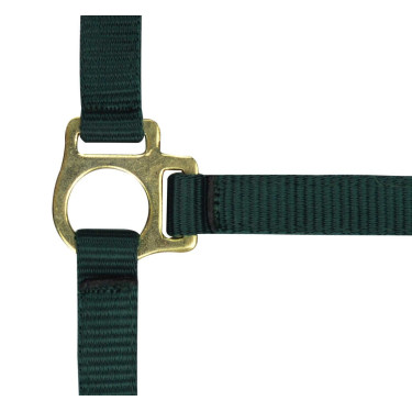 Cabezada potro de nylon Verde oscuro