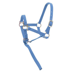 Cabezada potro de nylon Cielo Azul Cabezada potro de nylon Cielo Azul