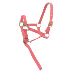 Cabezada potro de nylon Rosa
