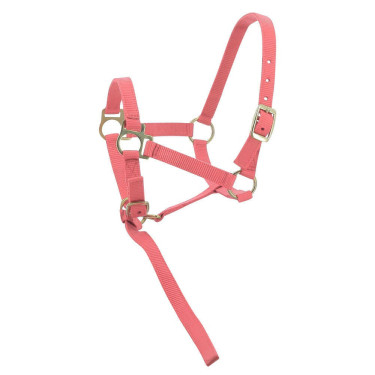 Cabezada potro de nylon Rosa
