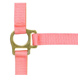 Cabezada potro de nylon Rosa