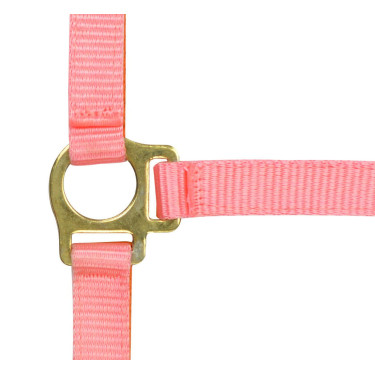 Cabezada potro de nylon Rosa