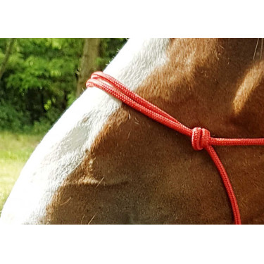 Cabezada de cuadra natural de cuerda Fin Roja Rojo