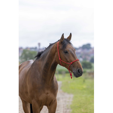 Cabezada de cuadra natural de cuerda Fin Roja Rojo