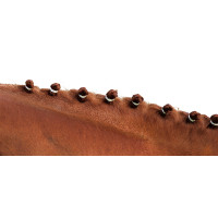 Gomas para crines. Blanco