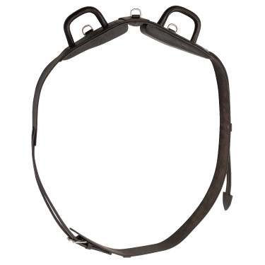 Cinchuelo de volteo Excelsior con asas cerradas