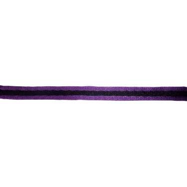 Ramal de dar cuerda acolchado JUMPTEC Violeta / negro