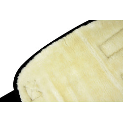 Protectores de transporte bajos Negro