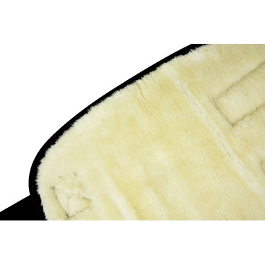 Protectores de transporte bajos Negro