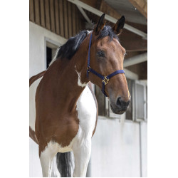 Cabezada First Azul marino