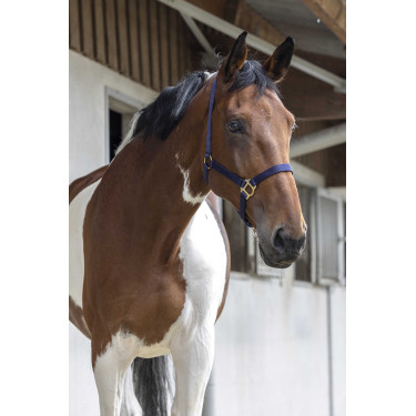 Cabezada First Azul marino