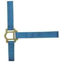 Cabezada de nylon doble espesor con cierre por hebillas Turquesa Azul