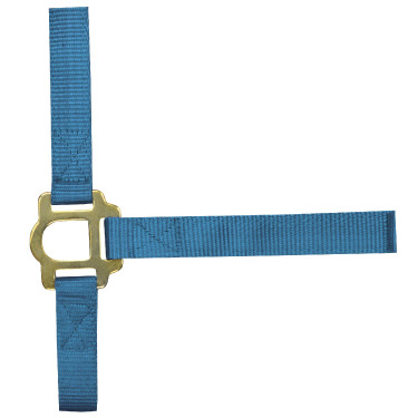 Cabezada de nylon doble espesor con cierre por hebillas Turquesa Azul