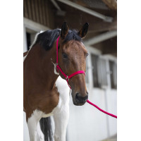 Conjunto de cabezada y ramal Club Fucsia Rosa