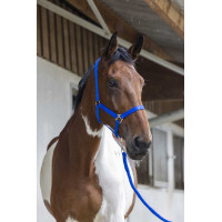 Conjunto de cabezada y ramal Club Fucsia Rosa