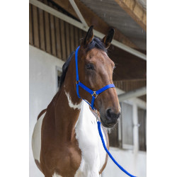 Conjunto de cabezada y ramal Club Azul real